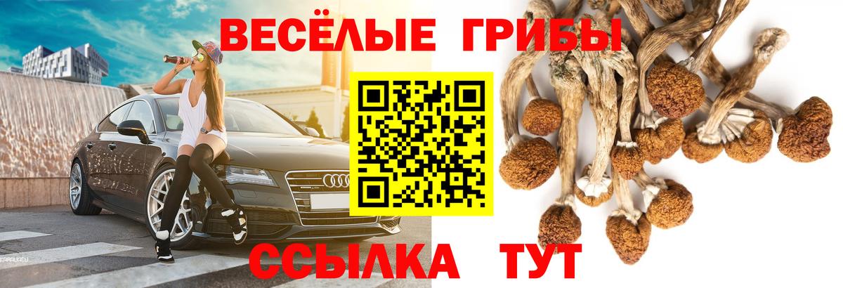 Шали  Псилоцибиновые грибы Psilocybe  Галлюциногенные грибы Psilocybe  магазин продажи наркотиков  Вход с VPN 