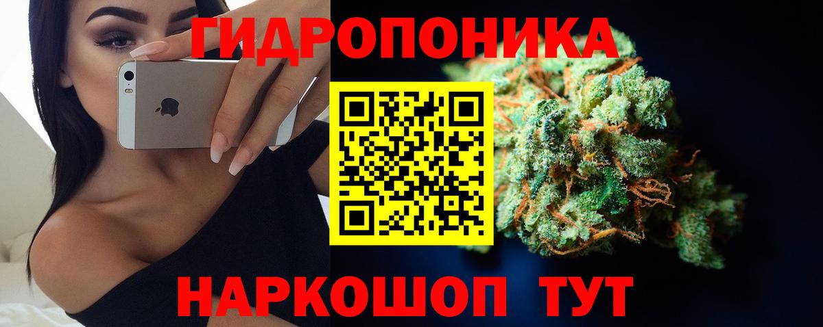 Конопля тримм  Канабис SATIVA & INDICA  Марихуана тримм  Шали  Вход с VPN  Каннабис MAZAR 